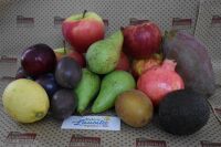 Obst