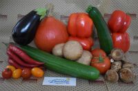 Fruchtgemüse & Pilze
