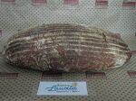 Bio Bauernbrot 1000g