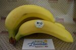Bio Bananen