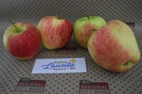 Bio Apfel Delbar Estivale