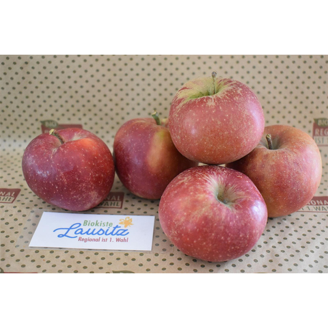 Bio Apfel Roter Boskoop