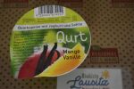 Bio Qurt Speisequarkzubereitung Mango Vanille 200g Becher
