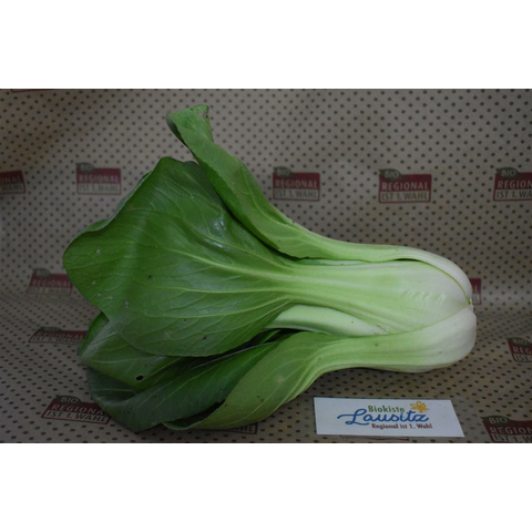 Bio Pak Choi