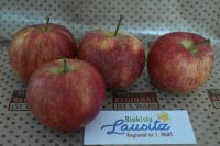 Bio Apfel Santana klein