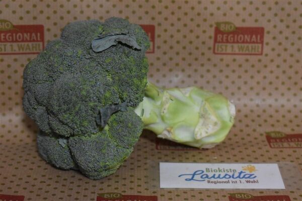 Bio Broccoli aus Deutschland