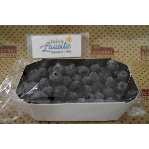 Bio Heidelbeeren 125g