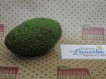 Bio Mini-Avocado