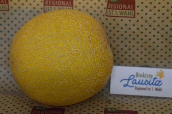 Bio Honigmelone Galia