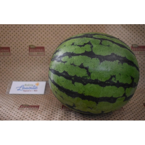 Bio Mini-Wassermelone