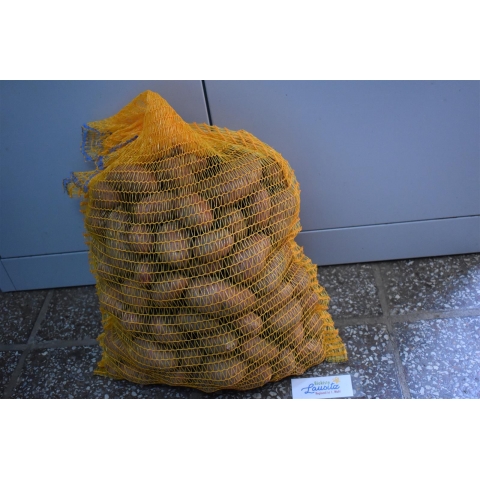Bio Frühkartoffeln rotschalig vfk. 12,5 kg Sack