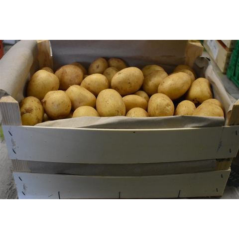 Bio Frhkartoffeln vfk 12,5 kg Holzkiste