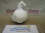 Bio Knoblauch
