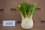 Bio Fenchel