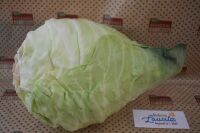 Bio Spitzkohl
