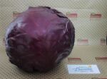 Bio Rotkohl demeter