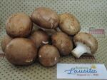 Bio Steinchampignons