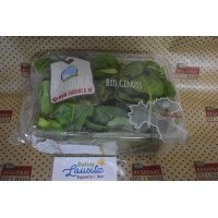 Bio Baby-Spinat 100g Schale