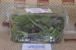 Bio Regionaler Mixsalat  Classic 100g