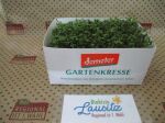 Bio Kresse Schale