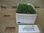 Bio Kresse Schale