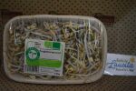 Bio Mungbohensprossen 125g