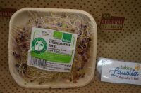 Bio Sprossen Friedrichshainer Bunte 50g