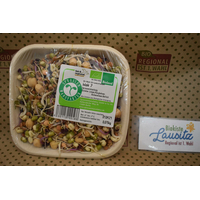 Bio Sprossen Wok-Mischung 75g